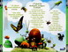 MINUSCULE LA VIE PRIVEE DES INSECTES VOL 3